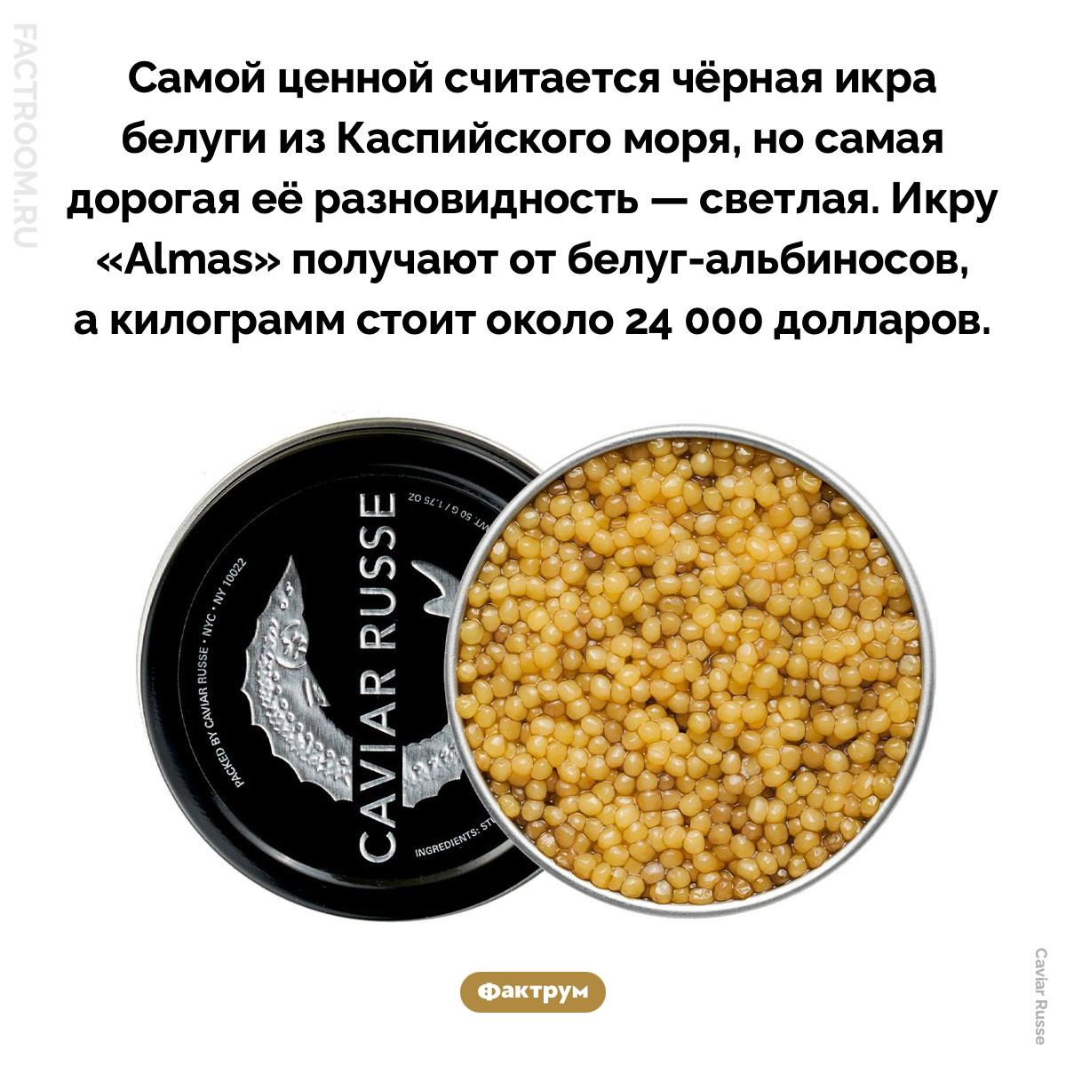 Самая дорогая икра. Самой ценной считается чёрная икра белуги из Каспийского моря, но самая дорогая её разновидность — светлая. Икру «Almas» получают от белуг-альбиносов, а килограмм стоит около 35 000 долларов.