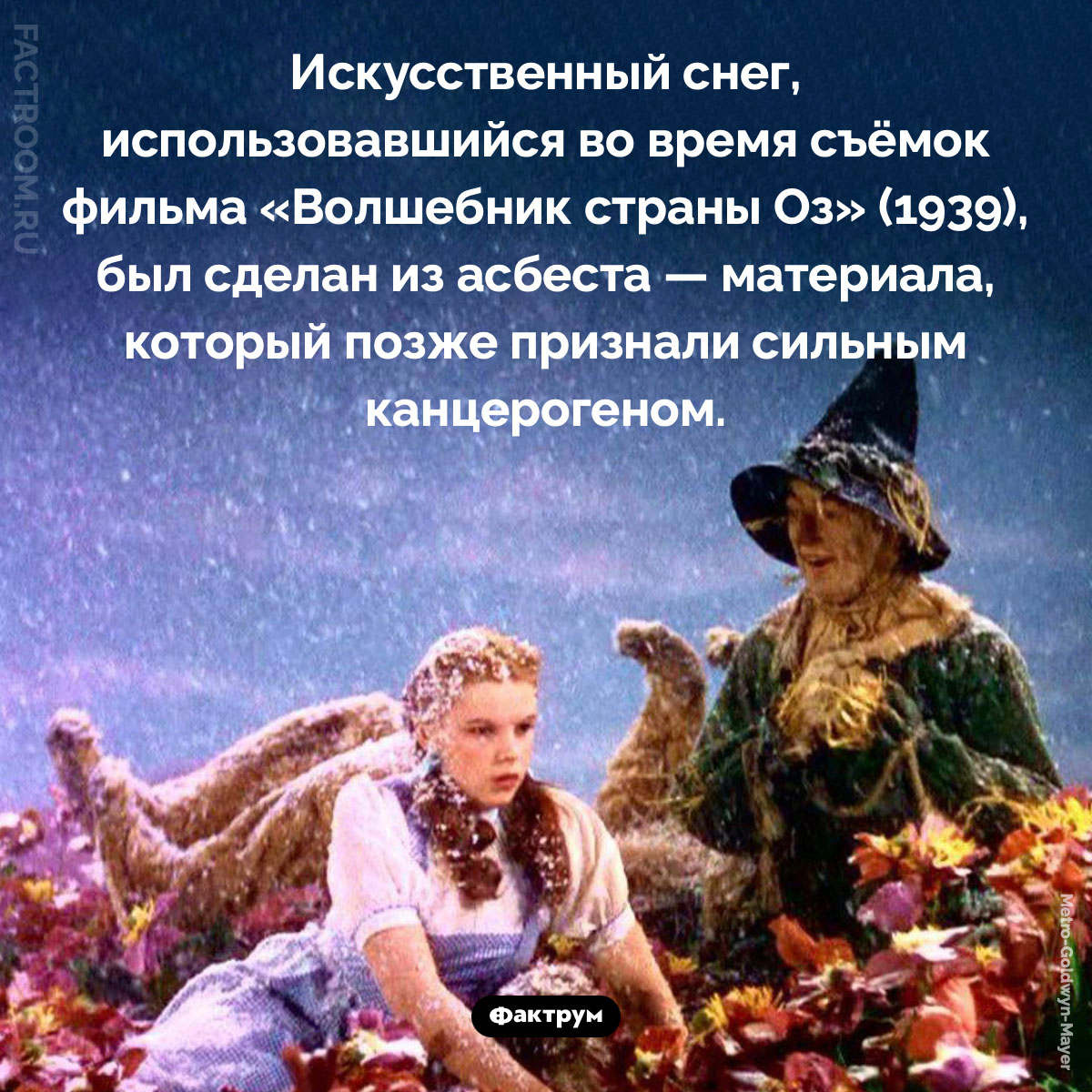 Снег из асбеста. Искусственный снег, использовавшийся во время съёмок фильма «Волшебник страны Оз» (1939), был сделан из асбеста — материала, который позже признали сильным канцерогеном.