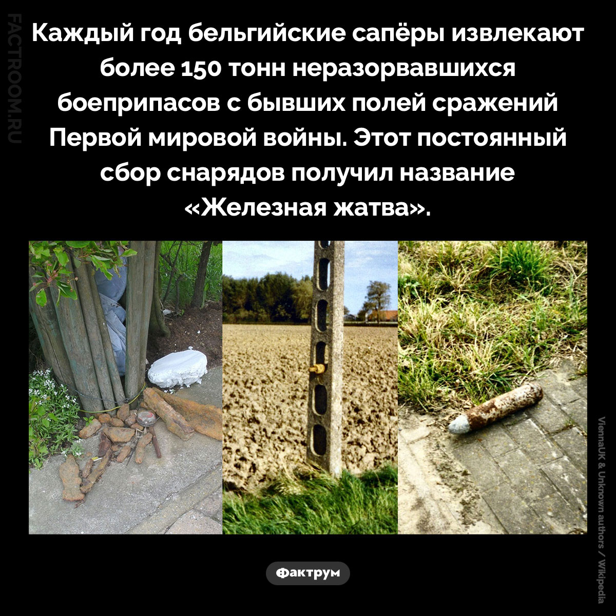 Железная жатва. Каждый год бельгийские сапёры извлекают более 150 тонн неразорвавшихся боеприпасов с бывших полей сражений Первой мировой войны. Этот постоянный сбор снарядов получил название «Железная жатва».