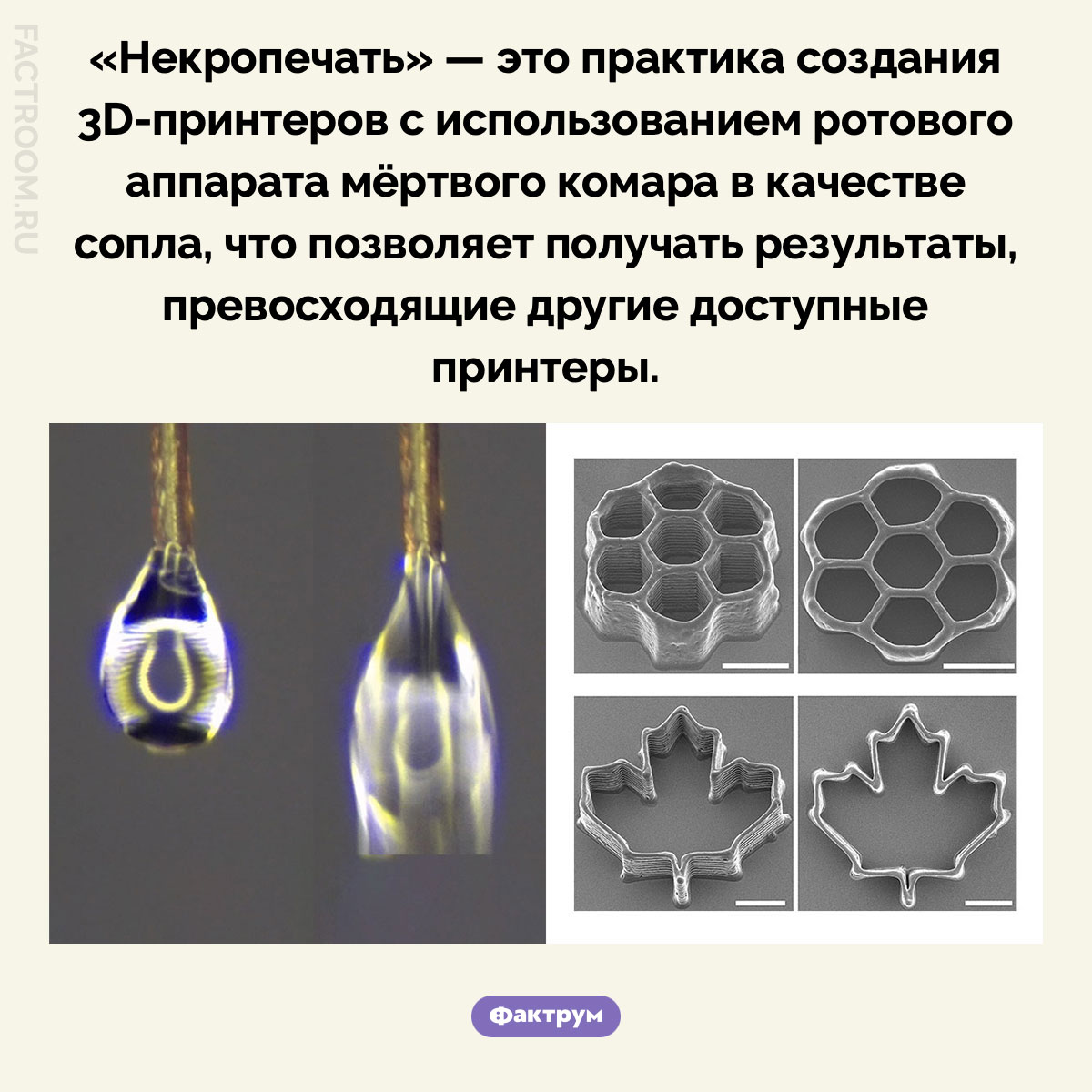 Некропечать. «Некропечать» — это практика создания 3D-принтеров с использованием ротового аппарата мёртвого комара в качестве сопла, что позволяет получать результаты, превосходящие другие доступные принтеры.