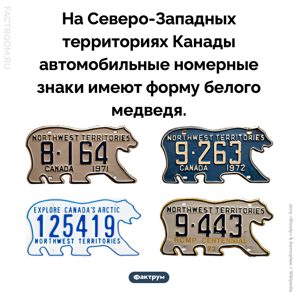 Номера в форме медведя. На Северо-Западных территориях Канады автомобильные номерные знаки имеют форму белого медведя.