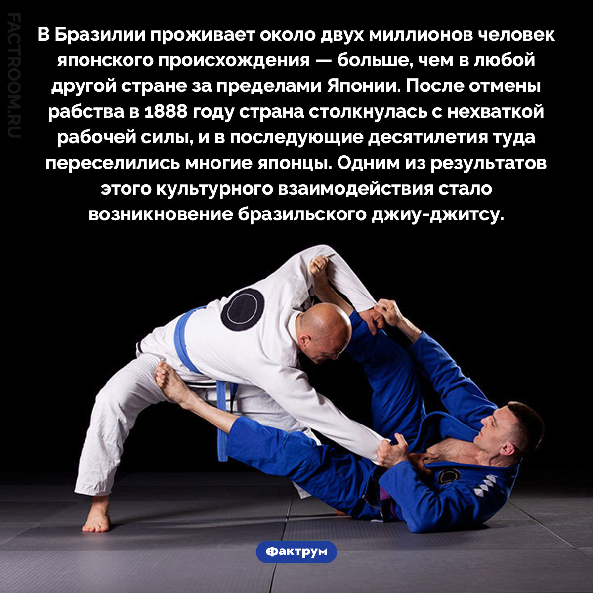 Почему крупнейшая японская диаспора живёт в Бразилии. В Бразилии проживает около двух миллионов человек японского происхождения — больше, чем в любой другой стране за пределами Японии. После отмены рабства в 1888 году страна столкнулась с нехваткой рабочей силы, и в последующие десятилетия туда переселились многие японцы. Одним из результатов этого культурного взаимодействия стало возникновение бразильского джиу-джитсу.