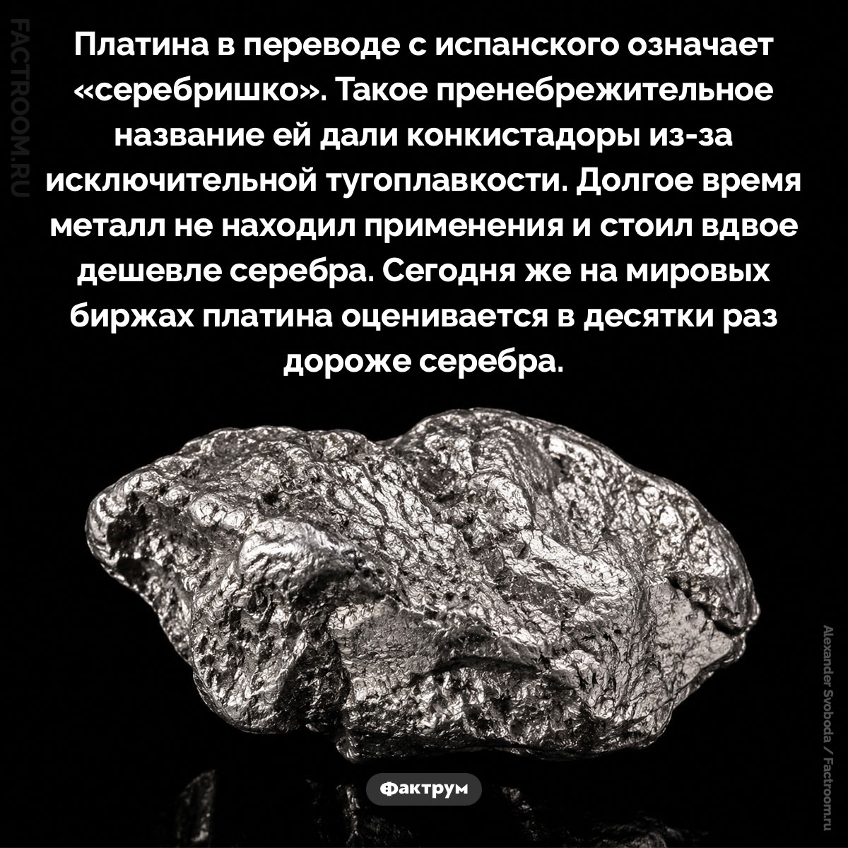 «Серебришко». Платина в переводе с испанского означает «серебришко». Такое пренебрежительное название ей дали конкистадоры из-за исключительной тугоплавкости. Долгое время металл не находил применения и стоил вдвое дешевле серебра. Сегодня же на мировых биржах платина оценивается в десятки раз дороже серебра.