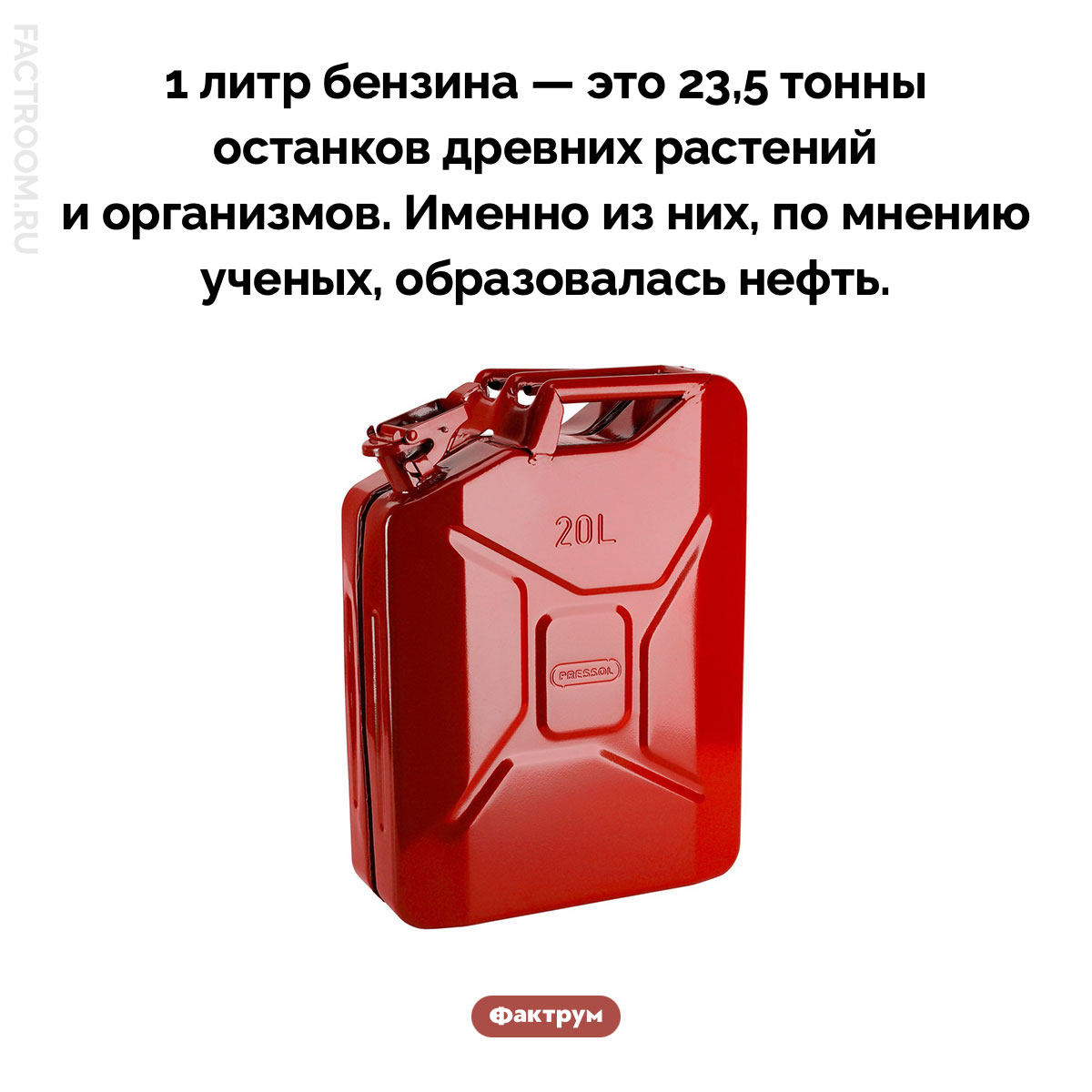 Бензин и древние живые организмы. 1 литр бензина — это 23,5 тонны останков древних растений и организмов. Именно из них, по мнению ученых, образовалась нефть.