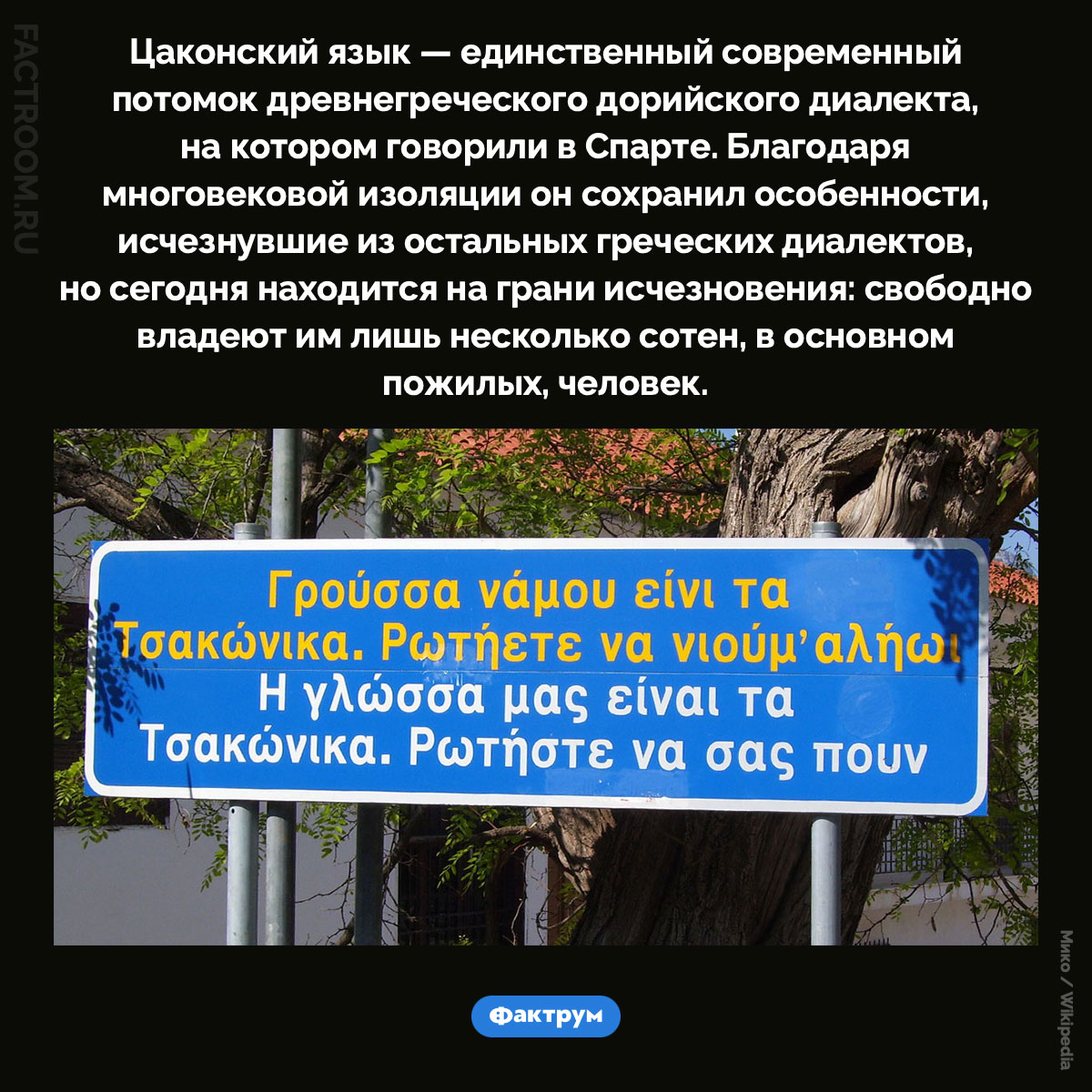 Цаконский язык. Цаконский язык — единственный современный потомок древнегреческого дорийского диалекта, на котором говорили в Спарте. Благодаря многовековой изоляции он сохранил особенности, исчезнувшие из остальных греческих диалектов, но сегодня находится на грани исчезновения: свободно владеют им лишь несколько сотен, в основном пожилых, человек.