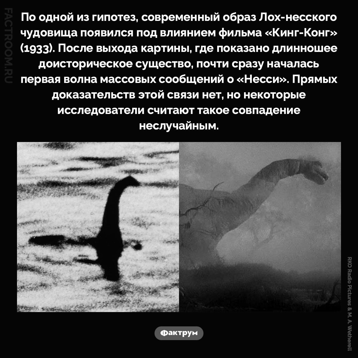 Есть ли связь между Лох-несским чудовищем и «Кинг-Конгом». По одной из гипотез, современный образ Лох-несского чудовища появился под влиянием фильма «Кинг-Конг» (1933). После выхода картины, где показано длинношее доисторическое существо, почти сразу началась первая волна массовых сообщений о «Несси». Прямых доказательств этой связи нет, но некоторые исследователи считают такое совпадение неслучайным.