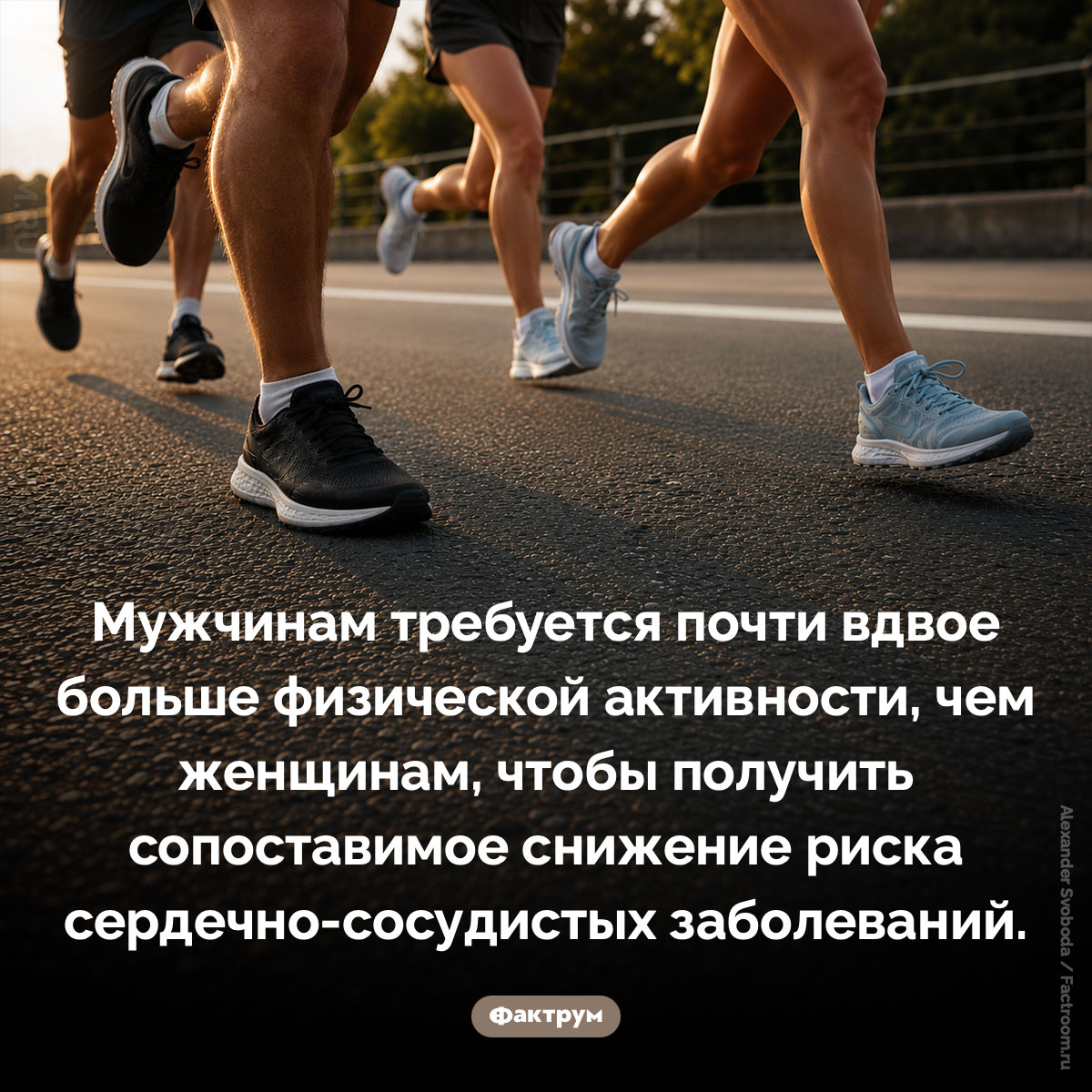Мужчинам требуется вдвое больше физической активности, чем женщинам. Мужчинам требуется почти вдвое больше физической активности, чем женщинам, чтобы получить сопоставимое снижение риска сердечно-сосудистых заболеваний.
