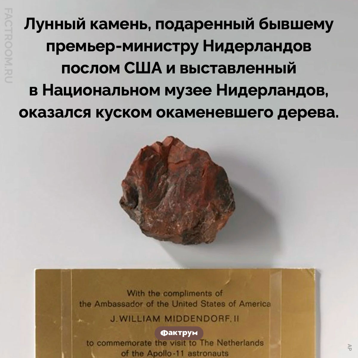 Подарок с сюрпризом. Лунный камень, подаренный бывшему премьер-министру Нидерландов послом США и выставленный в Национальном музее Нидерландов, оказался куском окаменевшего дерева.