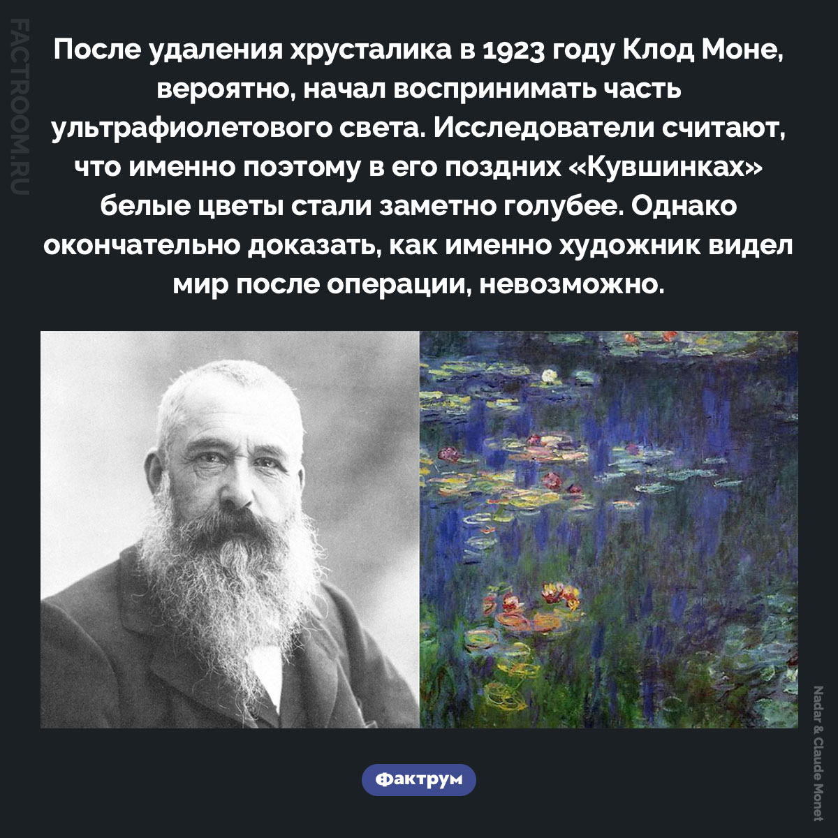 После операции на глазах Клод Моне, вероятно, начал видеть ультрафиолет. После удаления хрусталика в 1923 году Клод Моне, вероятно, начал воспринимать часть ультрафиолетового света. Исследователи считают, что именно поэтому в его поздних «Кувшинках» белые цветы стали заметно голубее. Однако окончательно доказать, как именно художник видел мир после операции, невозможно.
