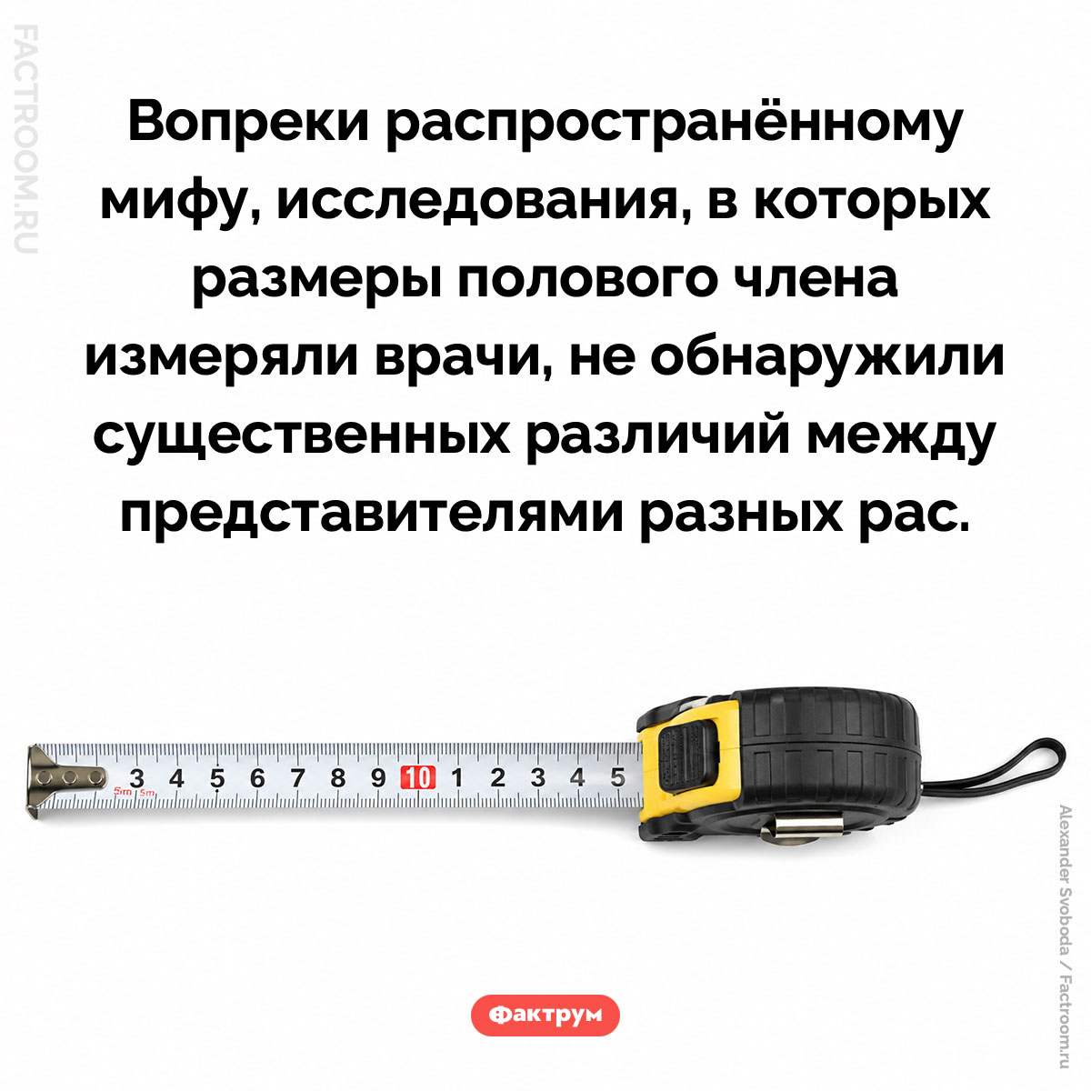 Размер полового члена не зависит от расы. Вопреки распространённому мифу, исследования, в которых размеры полового члена измеряли врачи, не обнаружили существенных различий между представителями разных рас.