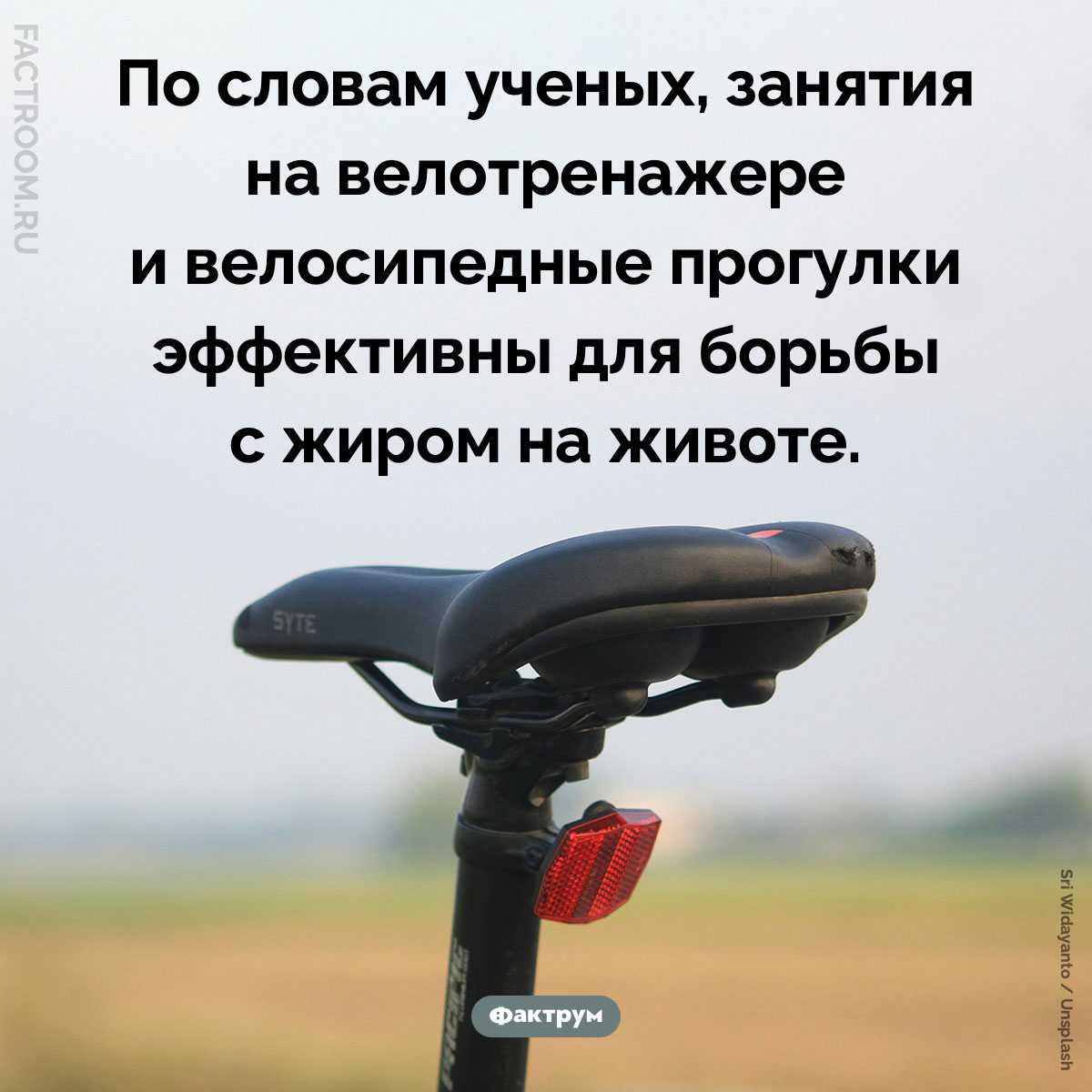 Велосипед и жир на животе. По словам ученых, занятия на велотренажере и велосипедные прогулки эффективны для борьбы с жиром на животе.
