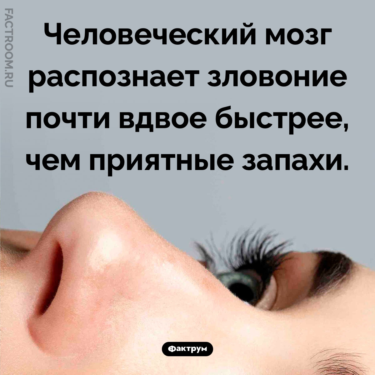 Вонь чувствуется мгновенно. Человеческий мозг распознает зловоние почти вдвое быстрее, чем приятные запахи.