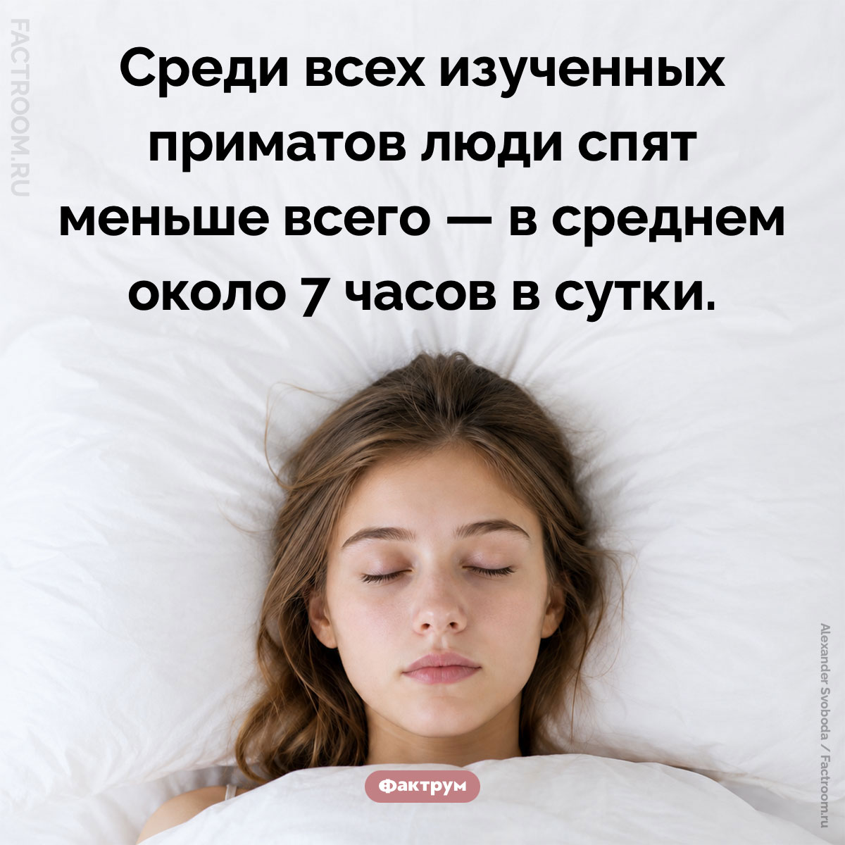 Люди спят меньше всех изученных приматов. Среди всех изученных приматов люди спят меньше всего — в среднем около 7 часов в сутки.
