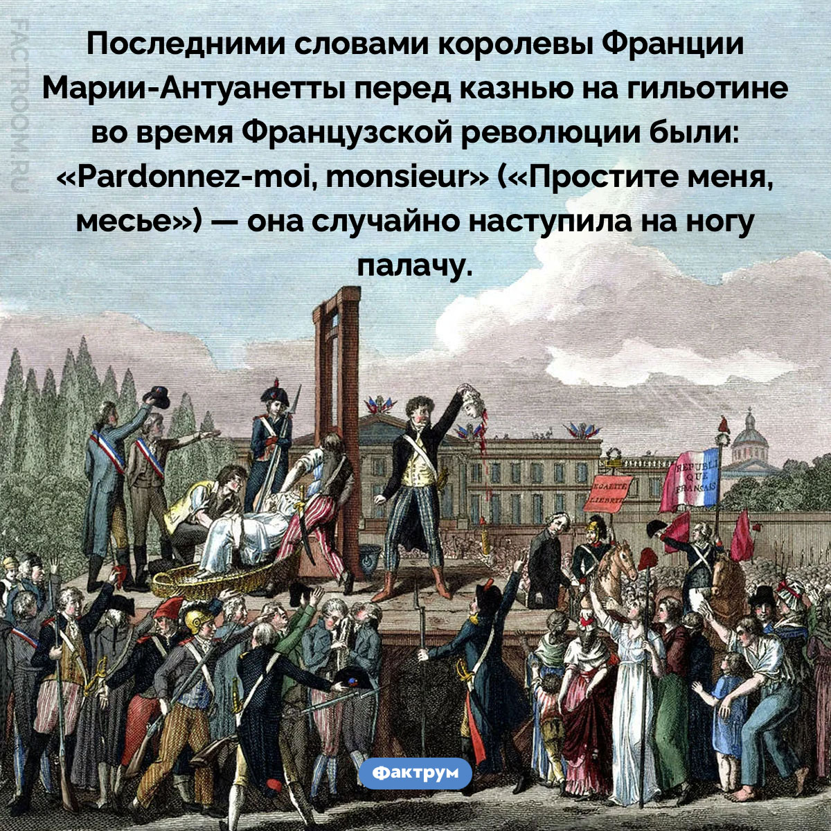 Вежливость на&nbsp;гильотине. Последними словами королевы Франции Марии-Антуанетты перед казнью на гильотине во время Французской революции были: «Pardonnez-moi, monsieur» («Простите меня, месье») — она случайно наступила на ногу палачу.