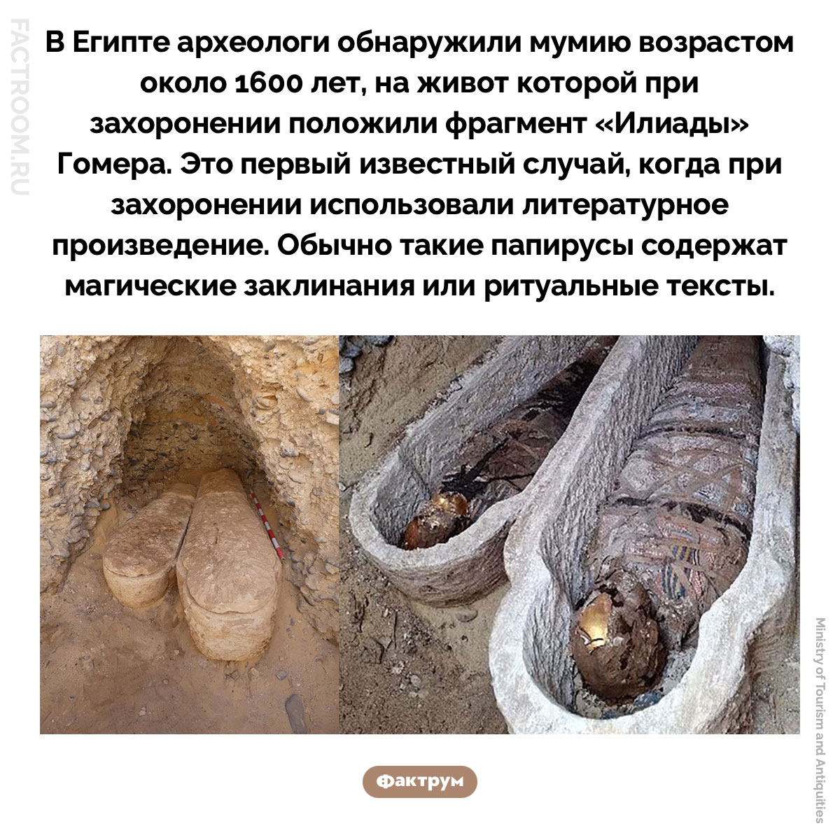 Мумия и «Илиада» Гомера. В Египте археологи обнаружили мумию возрастом около 1600 лет, на живот которой при захоронении положили фрагмент «Илиады» Гомера. Это первый известный случай, когда при захоронении использовали литературное произведение. Обычно такие папирусы содержат магические заклинания или ритуальные тексты.