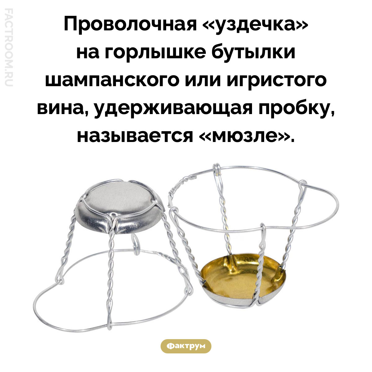 Что такое «мюзле». Проволочная «уздечка» на горлышке бутылки шампанского или игристого вина, удерживающая пробку, называется «мюзле».