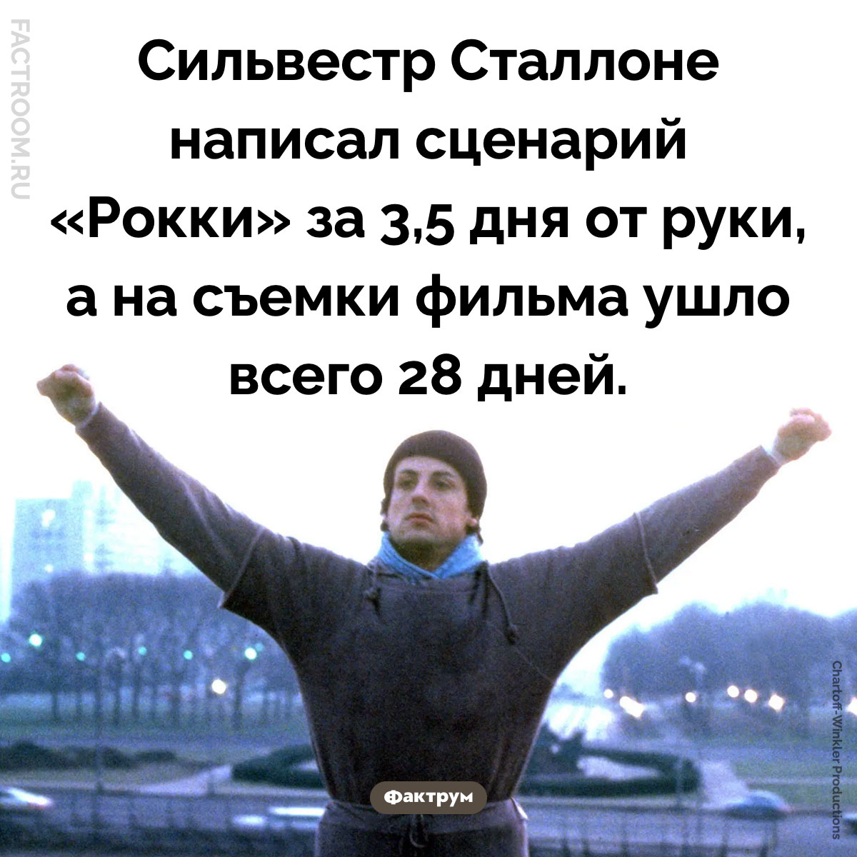 Фильм «Рокки» сняли очень быстро. Сильвестр Сталлоне написал сценарий «Рокки» за 3,5 дня от руки, а на съемки фильма ушло всего 28 дней.