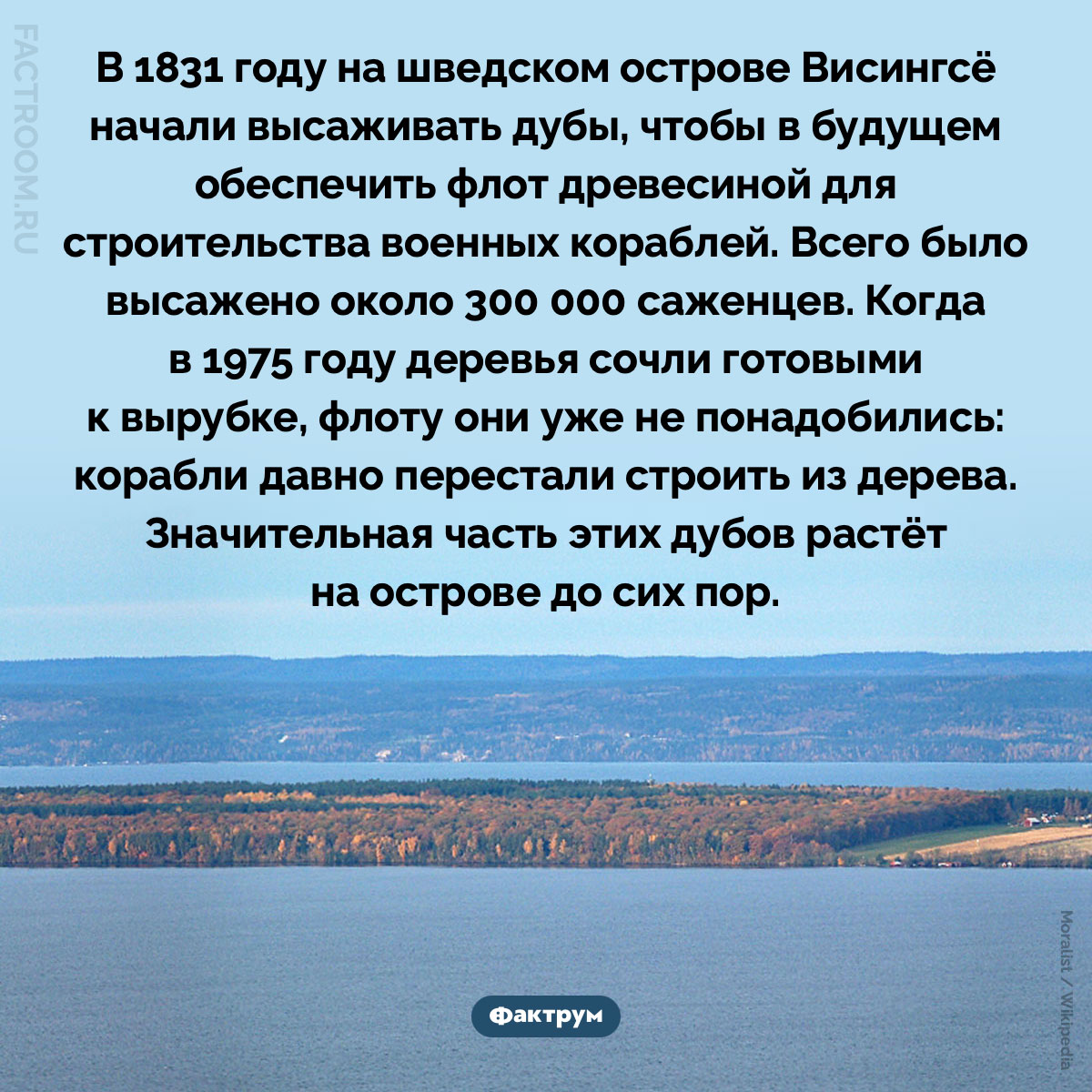Швеция посадила 300 000 дубов для будущего флота — но будущее оказалось другим. В 1831 году на шведском острове Висингсё начали высаживать дубы, чтобы в будущем обеспечить флот древесиной для строительства военных кораблей. Всего было высажено около 300 000 саженцев. Когда в 1975 году деревья сочли готовыми к вырубке, флоту они уже не понадобились: корабли давно перестали строить из дерева. Значительная часть этих дубов растёт на острове до сих пор.