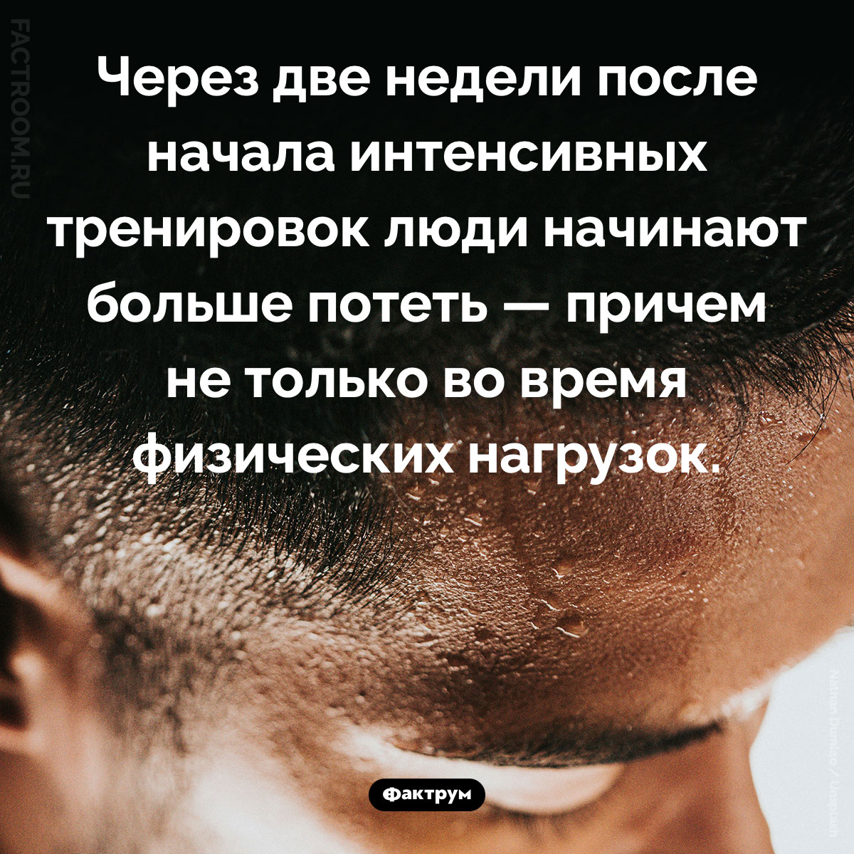 Как тренировки сказываются на потоотделении. Через две недели после начала интенсивных тренировок люди начинают больше потеть — причем не только во время физических нагрузок.