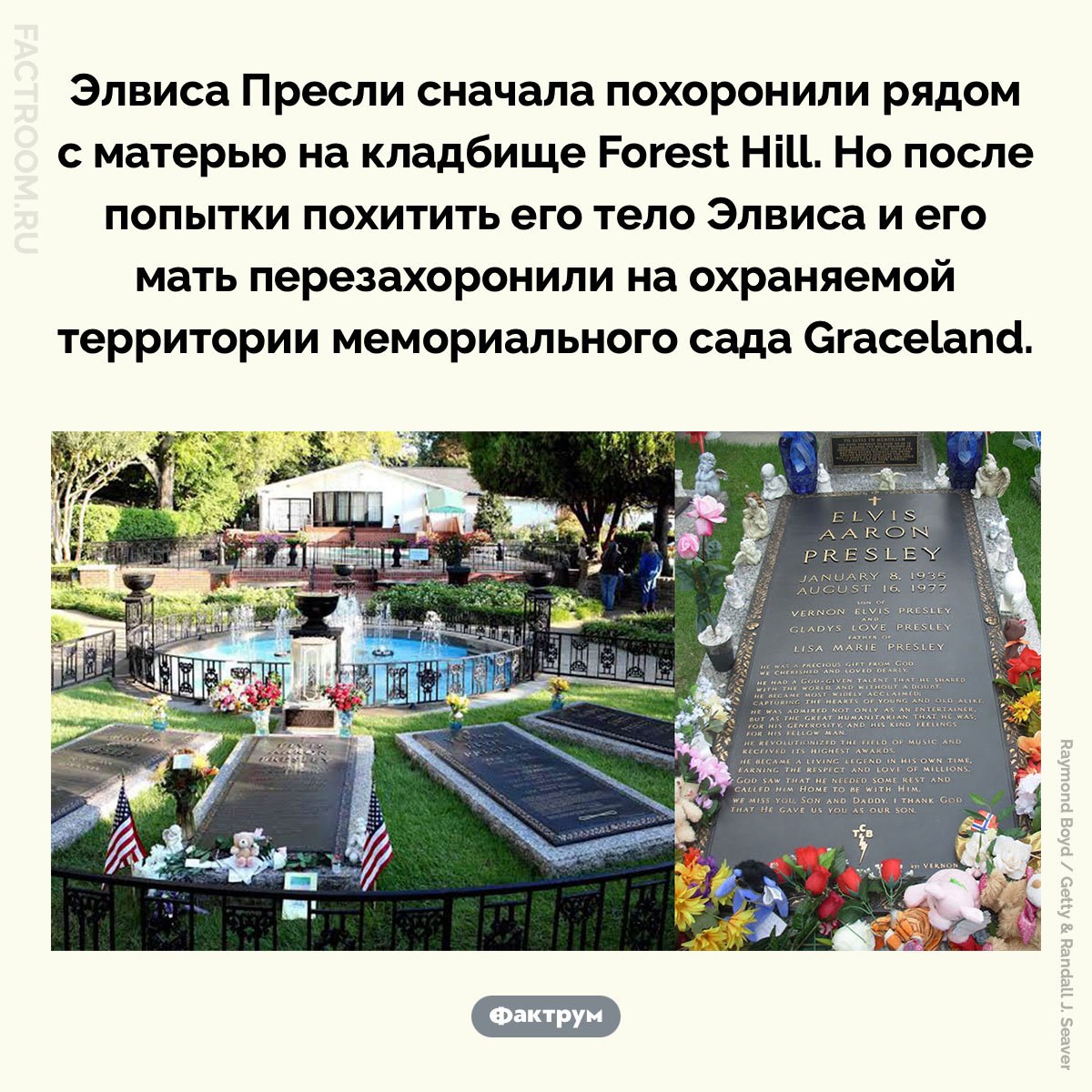 Почему тело Элвиса Пресли пришлось перезахоронить. Элвиса Пресли сначала похоронили рядом с матерью на кладбище Forest Hill. Но после попытки похитить его тело Элвиса и его мать перезахоронили на охраняемой территории мемориального сада Graceland.