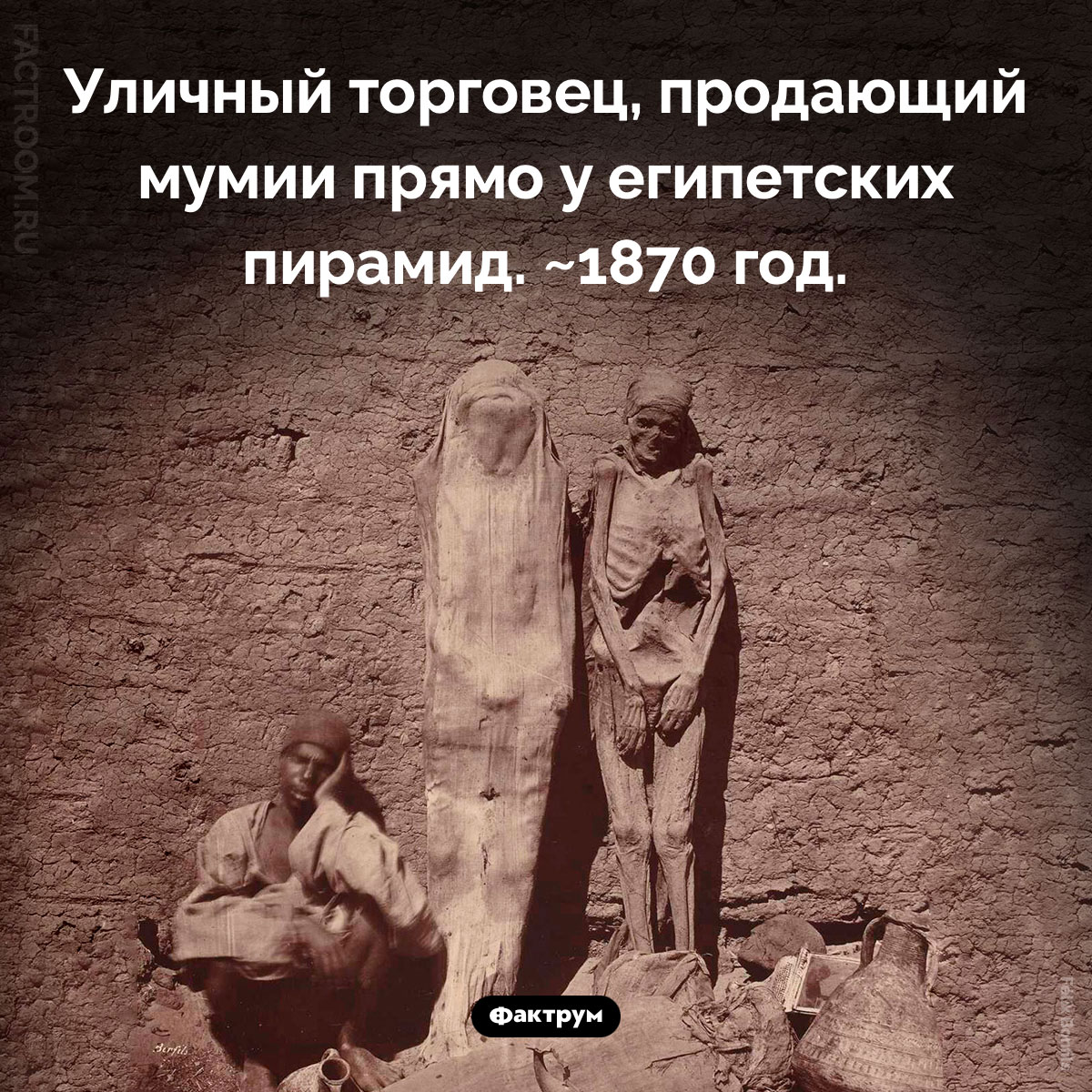 Торговля мумиями. Уличный торговец, продающий мумии прямо у египетских пирамид. ~1870 год.