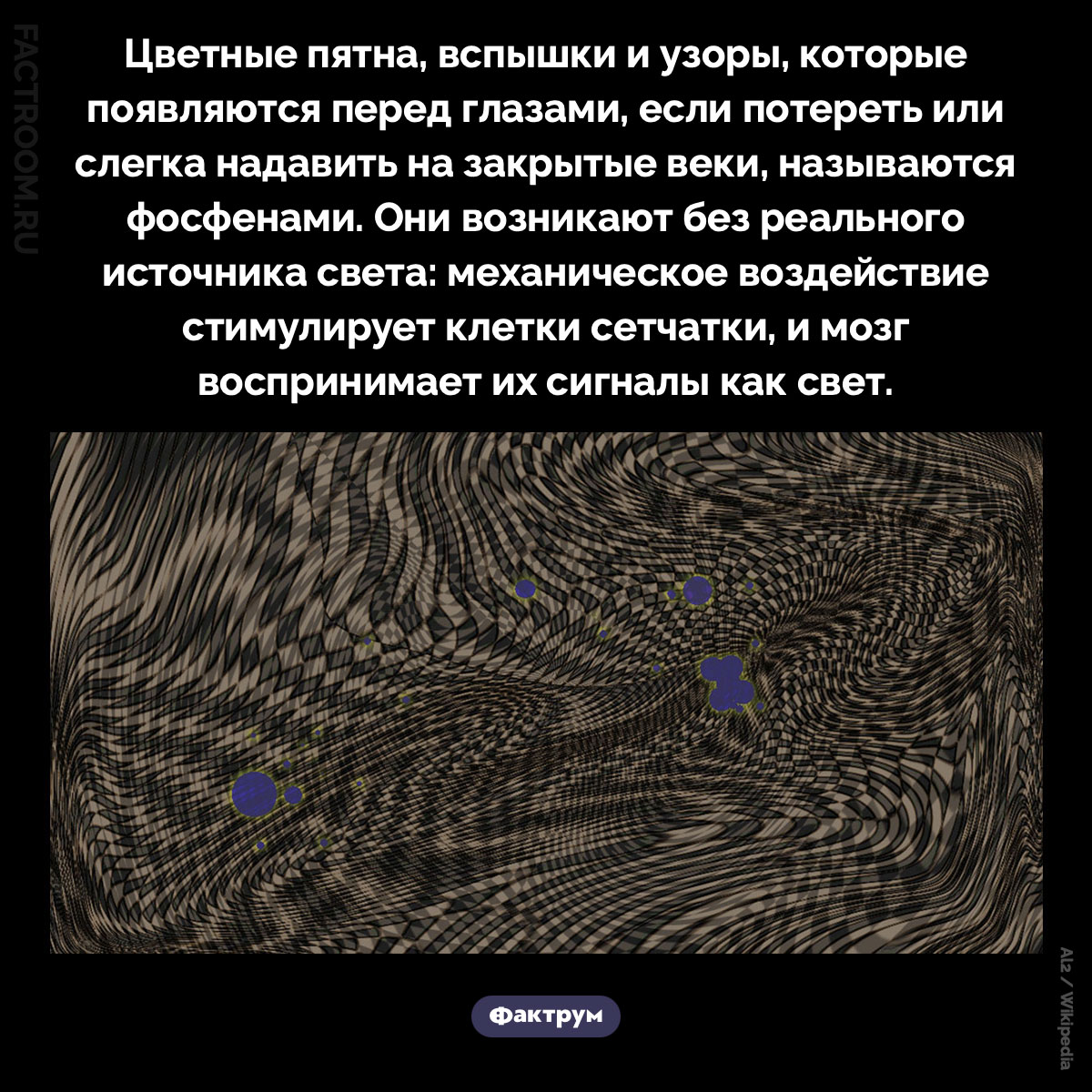 Что такое «фосфены». Цветные пятна, вспышки и узоры, которые появляются перед глазами, если потереть или слегка надавить на закрытые веки, называются фосфенами. Они возникают без реального источника света: механическое воздействие стимулирует клетки сетчатки, и мозг воспринимает их сигналы как свет.
