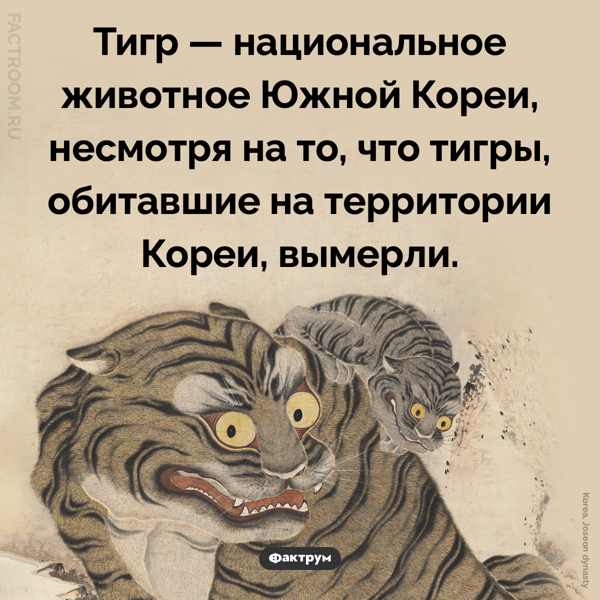 Тигры вымерли в&nbsp;Южной Корее, но&nbsp;остались национальным животным этой страны. Тигр — национальное животное Южной Кореи, несмотря на то, что тигры, обитавшие на территории Кореи, вымерли.