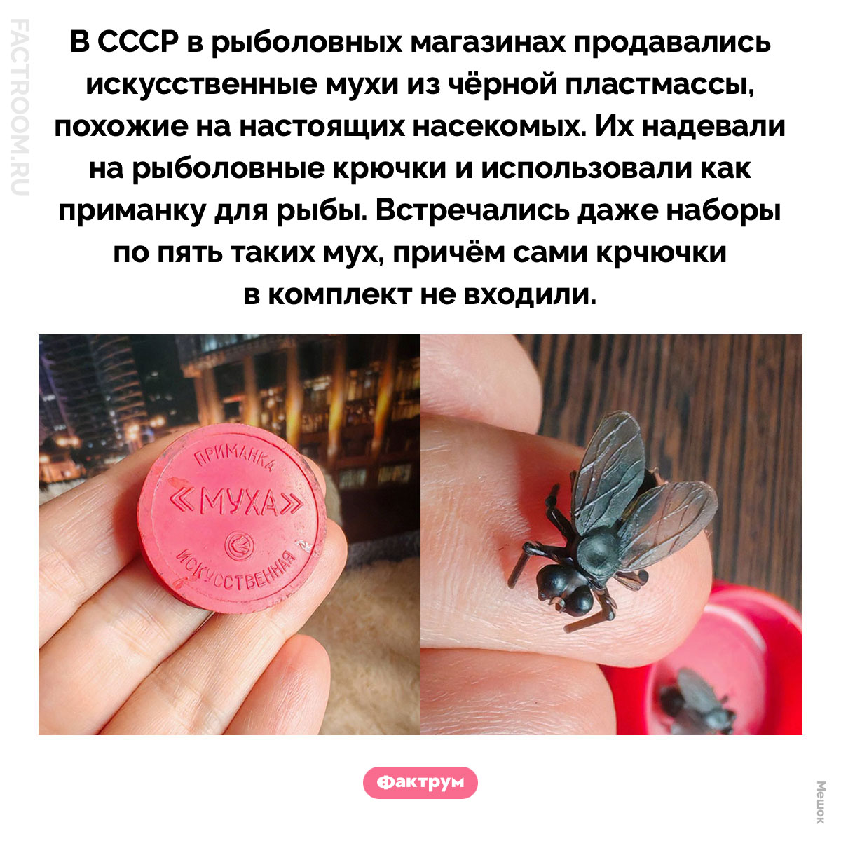 Зачем в СССР продавали искусственных мух. В СССР в рыболовных магазинах продавались искусственные мухи из чёрной пластмассы, похожие на настоящих насекомых. Их надевали на рыболовные крючки и использовали как приманку для рыбы. Встречались даже наборы по пять таких мух, причём сами крчючки в комплект не входили.